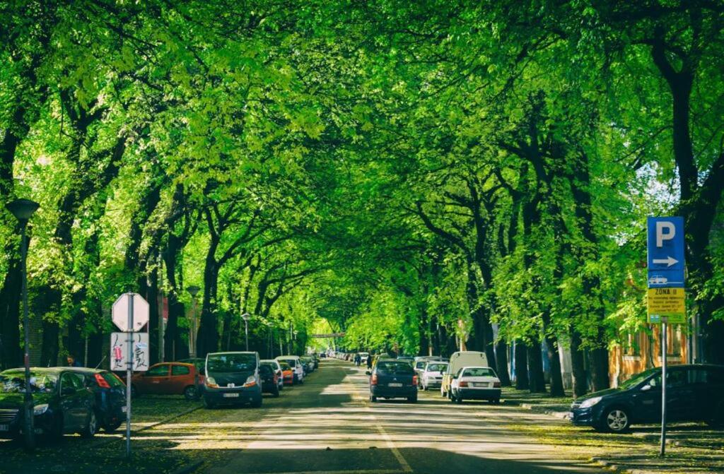 Cudesni Drvored Kikinda Dış mekan fotoğraf